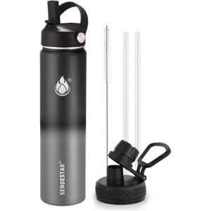 Insulated Water Bottle 24 oz with Straw, Stainless Steel Wide Mouth Water Bottle, Double Wall Vacuum Leak Proof with Straw Lid & Spout Lid for Sports or Office, Keep Cold or Hot Up to 24 Hrs