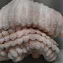 Bedsure GentleSoft King Size Blanket for Bed - Cozy Soft Blankets for Women, Cute Large Fleece Throws for Girls, Crystal Pink, 108x90 Inches