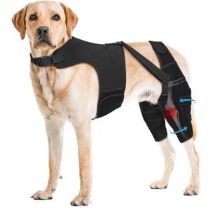 Dog Knee Brace for Torn ACL Hind Leg, Adjustable Dog Leg Braces for Back Leg with 4 Metal Stabilizers Helps with Torn CCL, Luxating Patella, Ligament Injuries, Hip Dysplasia,XXL