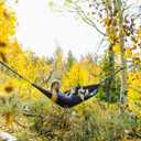 Hammock Straps – Camping Hammock Tree Straps Set, 20 ft Long Combined, 30+2 Loops, 2000 LBS Heavy Duty Strap for Hammock Suspension System Kit