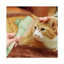 Pet Hair Removal Comb, Flea Brush with Release Button for Cat Dog, De-Shedding Cat/Dog Hair Comb, With Long & Short Stainless Steel Metal Teeth for Shedding(Green)