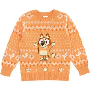 Bluey Christmas Matching Family Sweater Toddler to Adult Sizes (10-12, Bingo, Orange)