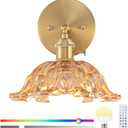 Vintage Wall Sconce, Battery Operated Wall Sconce with Amber Glass Lampshade, Indoor not Hardwired Wall Sconces with Remote, Rechargeable RGB Vintage Wall Lamp, for Bedroom Living Room, etc.