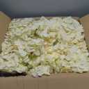 Hydrangea Artificial Flowers, 20 Pcs Champagne Hydrangea Artificial Flowers Bulk, Faux Hydrangea Flowers for Outdoor, Fake Silk Ivory Hydrangea Flowers with Stems for Wedding Decoration Decor