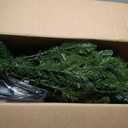 National Tree Company 6.5 ft Pre-Lit Kingswood Fir Slim Artificial Christmas Tree, 250 Clear Lights, 719 Tips, Includes Stand, Green