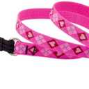 LupinePet Originals 3/4" Puppy Love 4-Foot Padded Handle Leash for Medium and Larger Dogs 