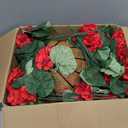 Hananona 2 Set Artificial Red Geraniums Flowers for Outdoors with Hanging Baskets, 2 Hanging Planters with 12 Pcs Red Geranium Flowers for Christmas Front Porch Garden Patio Home Decor (2, Red)