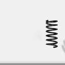 MOOG 80864 Coil Spring Set