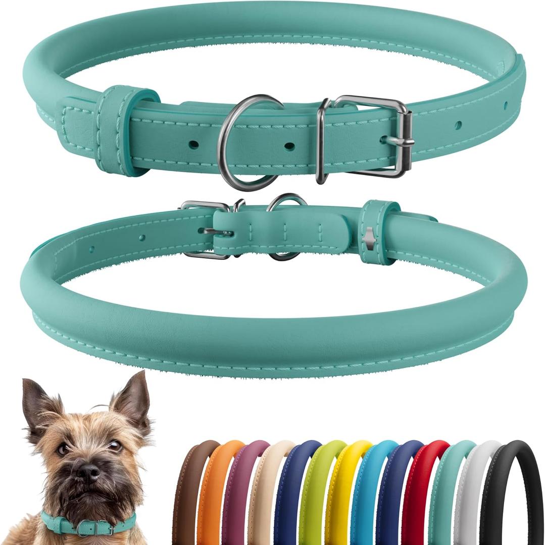CollarDirect Rolled Leather Dog Collar, Soft Padded Round Puppy Collar, Handmade Genuine Leather Collar Dog Small Large Cat Collars 13 Colors (8-11 Inch, Mint Green Smooth) (Minty Blue Smooth)