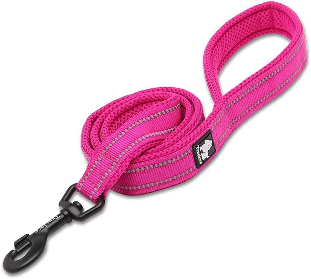 TRUE LOVE Reflective Dog Leash Puppy Walking Lead, Padded Pet Chain RopeLength 110cm Truelove TLL2111(Fushcia,S)