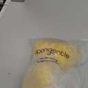 Spongentle Deep Cleansing Body Loofah Sponge, Natural Colors, for Bath and Shower, Multiple Textures for Gentle and Deep Exfoliation, Generous and Rich Lather, (Pack of 3)