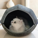 Donut Cat Tunnel Bed Peekaboo Cat Cave for Large Cats Up to 30 Lbs, Kitty Interactive Playing Tent House for Multiple Cats,Detachable,Scratch Resistant (2 in 1 Black, Medium  20 Inch Diameter)