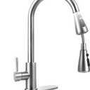 Stainless Steel 304 Kitchen Sink Faucet with Pull Down Spray Outdoor Kitchens Faucets Out Extension Utility Farmhouse for Sinks 1 Hole,Single Handle Rent Apartment Dorm (Satin Nickel)