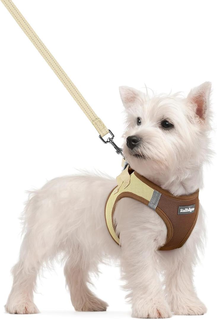 rabbitgoo Dog Harness Small Sized and Leash Set, Step in Soft Light Puppy Vest, Breathable Mesh Pet Harness, Reflective for Safe Easy Walking, Brown & Beige S (S (Chest: 15.1 - 16.5"))