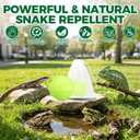 12 Pack Natural Lizard Repellent