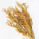 Yinns Fall Decorations - Artificial Fall Pine Branches, Norfolk Pine Stems Centerpieces Exist Decor Autumn Faux Branch for Vase Table Thanksgiving Decor