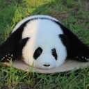 Cute Weighted Panda Stuffed Animal - Panda Plush Gifts Stuff, Hugging Weighted Stuffed Animals for Adults & Kids, 17 Inches 3 Lbs Plush Toys for Girls, Faux Fur (Menglan(3 Months Old))