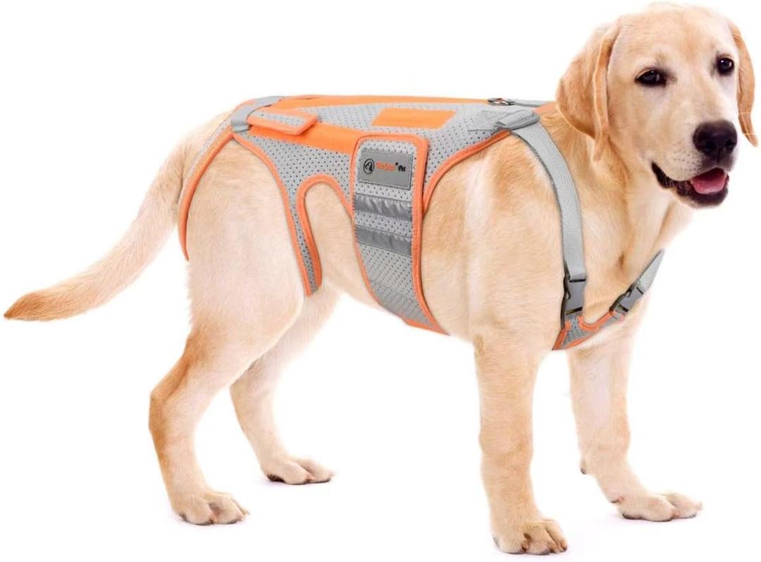 Dog Back Brace for Arthritis, Dog Hip Brace for IVDD, Frame Support Harness for BackKeeps The Back Stable and Reduces Movements and Pains (XL)