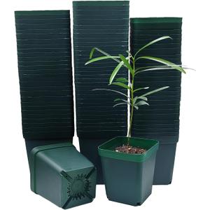 Square Seedling Nursery Pots 3.15 Inches 100 Pcs for Small Succulents or Cacti Flower Plastic Pots Sturdy Reusable (Green, 3.14Inches,100Pcs)