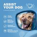 Hemp Calming Chews for Dogs - Dog Calming Treats - Anxiety Relief for Dogs with L-Theanine, Chamomile Extract, Valerian Root - Dog Anxiety Relief for Travel, Vet Visits, Thunderstorms, Nail Trimming (180 count)