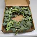 Pinkpum 20'' Eucalyptus Wreath for Front Door Porch Window Green Decor for Home Farmhouse Wall Spring Summer Fall Outdoor Indoor All Seasons
