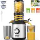 Ganiza Juicer Machines, Slow Masticating Juicers with Large Feed Chute for Whole Fruits & Vegetables, Cold Press Juicer with 3 Replace Filters for Batch Juicing, Easy to Clean, BPA Free,(Silver)