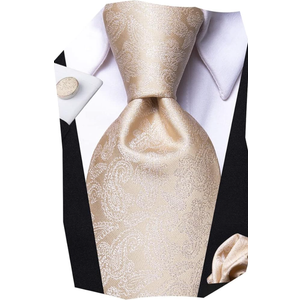 Hi-Tie Silk Paisley Ties for Men Necktie Pocket Square Cufflinks Set Foral Tie Sets Formal Business