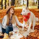 Weewooday 50 Pcs Thanksgiving Fall Dog Bandanas Bulk Plaid Bandanas for Dogs Autumn Soft Doggie Bibs Triangle Scarves for Small Medium Large Pet Costume(Plaid Pattern, 25.6 x 17.7 x 17.7 Inch)