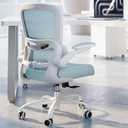 Office Chair - Ergonomic Desk Chair with Adjustable Lumbar Support, Mesh Computer Chair, Executive Chair for Home Office Comfortable Lumbar Support, Blue 
