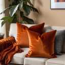 FEVERQIYI Burnt Orange Velvet Pillow Covers Set of 2 Decorative Square Throw Pillowcase Soft Solid 18x18 inch Cushion Covers for Bedroom Living Room Outdoor Indoor Decoration