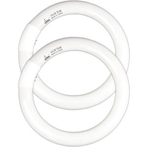 FC9T9 9 inch Circline Light Bulbs T9 30W, FCL30 Circular Fluorescent Lamp Round 30 Watts Bulb Replacement for Ceiling Fan Fixture, Daylight DL 6500K, G10q 4 Pin Base, 2 Pack