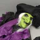 Halloween Standing Witch with Lighted Eyes and Automatic Wing Movement