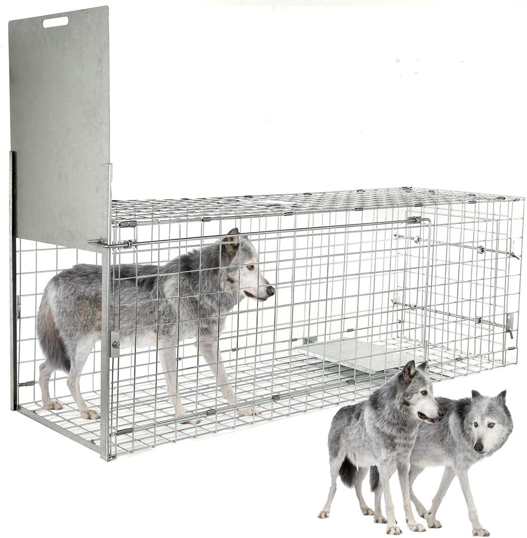 57 Collapsible Large Live Animal Trap, Easy to Set and Release Live Animal Traps for Dogs, Foxes, Coyotes, Bobcats and Other similarly Sized Animals up to 55 lbs