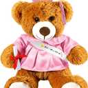 Foilswirl Graduation Bear 2026 with Gown Cap Tassel 9 Pink Graduation Stuffed Animal Plush Bear Toy for Class of 2026 Prek Preschool Kindergarten High School College Graduate Gift