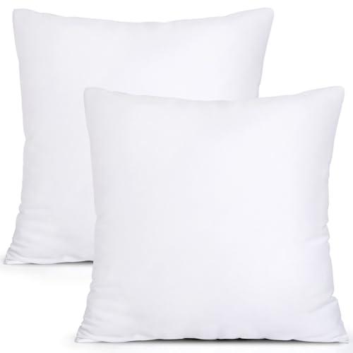 MIULEE Set of 2 Pillow Inserts Premium Pillow Stuffer Square Form for Decorative Cushion Bed Couch Sofa 24x24 Inch