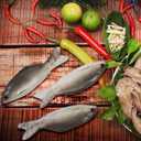 Gejoy 4 Pcs Fake Fish Realistic Toy Artificial Halloween Mode Small Plastic Sea Fish for Party Market Display Kitchen Decoration Photography Props