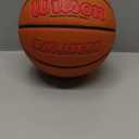 Wilson Evolution Basketballs (Size 7 - 29.5", Scarlet/Brown)