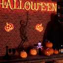 Halloween Pumpkin Night Lights, 15.35" x 15.86" Lighted Silhouette Decor for Window, Door, Wall, Glowing Pumpkin Holiday Display, 6Hr Timer, Battery/USB & Plug-in Lights Sign for Kids Party Decor 1pc