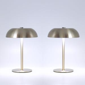 2 Pack Cordless Mushroom Table Lamp with 5200mAh Rechargeable Battery, Portable LED Night Light with Stepless Dimming, 3 Color Modes for Bedroom, Patio, Bar Decor and Coffee Shop Ambiance (Silver)