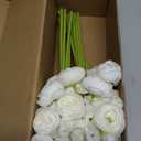 Floroom Ranunculus Artificial Flowers 18 Pcs Ivory Faux Silk Mini Ranunculus Bulk Fake Wedding Filler Flowers for DIY Bouquets, Centerpieces, Bridal Shower Decorations & Arrangements
