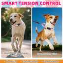 KOOLTAIL Martingale Collar for Dogs for Small Medium Large Dogs, Soft Padded Nylon No Pull Dog Collar with Buckle, Adjustable No Slip Heavy Duty Durable Puppy Training Collar for Boys Girls, Pink S