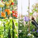 Cambaverd Bamboo Stakes for Plants, 50 Pack Bamboo Stakes 5 Feet(58in, Approx 5FT), Natural Garden Stakes for Tomatoes and Climbing Plant Support, Sturdy Bamboo Plant Stakes