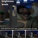Desk Fan Bladeless, 14 Inch USB Rechargeable Tower Fan with 9 Speed Adjustable, 3 Light, 60 Oscillating, 9H Timer, 5000mAh Battery Cooling Small Table Fan for Bedroom, Office, Nightstand, Grey