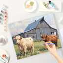 Farm Animal Paint by Numbers Kit for Adults - DIY Highland Cows with Barn Painting on Canvas, Acrylic Paint Set, Suitable for Beginners, Rustic Art for Home Decoration or Gifts(8X12IN Framed)