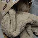 Heated Blanket Full Size 72"X84" Beige - Soft Double Sided Sherpa Electric Blanket Full Size with LED Display, 6 Heating Levels & 10 hrs Timer, Machine Washable & Fast Heating, Gift for Women