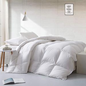 APSMILE Lightweight All-Season Down Feather Fibers Comforter Super King, Duvet Insert for Hot Sleepers/Warm Sleepers -High Fill-Power Hotel Collection Comforter,Light Warmth (120"x120",White)