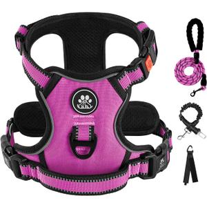IVY&LANE No Pull Dog Harness for Small Dogs, Dog Vest Harness with Leash, Safety Belt and Storage Strap, Fully Adjustable Harness, 360 Reflective Strip, Soft Handle (Fuchsia Pink,S)