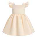 Baby Flower Girl Satin Formal Wedding Dress Flutter Sleeve Contrast Color Bowknot Infant First Communion Christening Baptism Clothes Toddler 1st Birthday Pageant Party Frock Apricot 18-24 Months