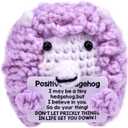 2 x BUNYISCN Funny Positive Crochet Hedgehog Birthday Gifts for Women Men, Emotional Inspirational Crochet Decor Gifts Christmas Stuff Gifts for Her Him Daughter Sister Friend