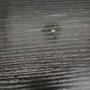 TigerDad Mobile Adjustable Height Laptop Stand PC Portable Laptop Swivel Table Rolling Table with Wheels Caster and Mouse Pad